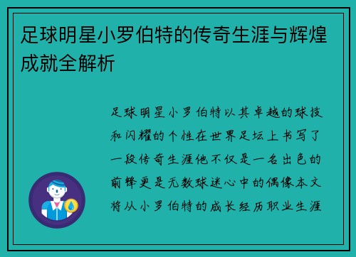 足球明星小罗伯特的传奇生涯与辉煌成就全解析
