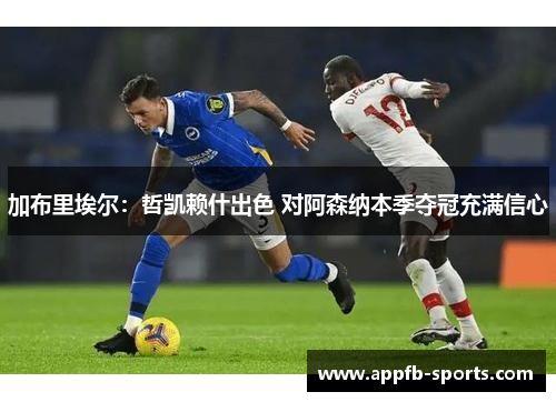 加布里埃尔：哲凯赖什出色 对阿森纳本季夺冠充满信心